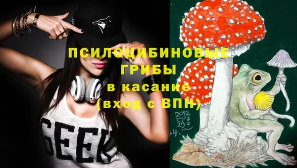ПСИЛОЦИБИНОВЫЕ ГРИБЫ Алексеевка